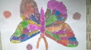 Solne motyle - zajęcia dla dzieci_4
